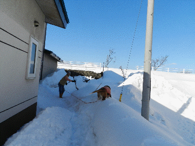 f0205887_1264768.gif