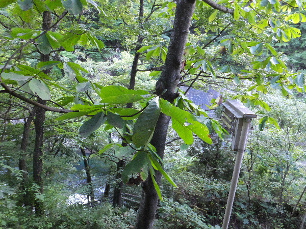 d0080998_20354424.jpg
