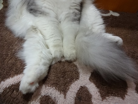 大小いろいろ。。_c0178104_96593.jpg