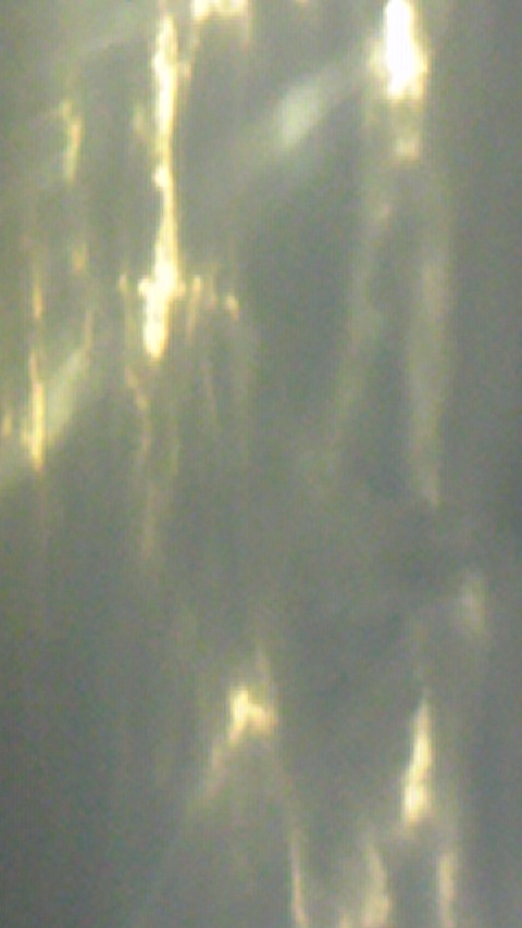 dim age 2_a0018105_11475450.jpg