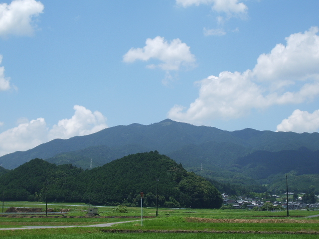 今日のこと 7月 25日_d0263607_10215078.jpg