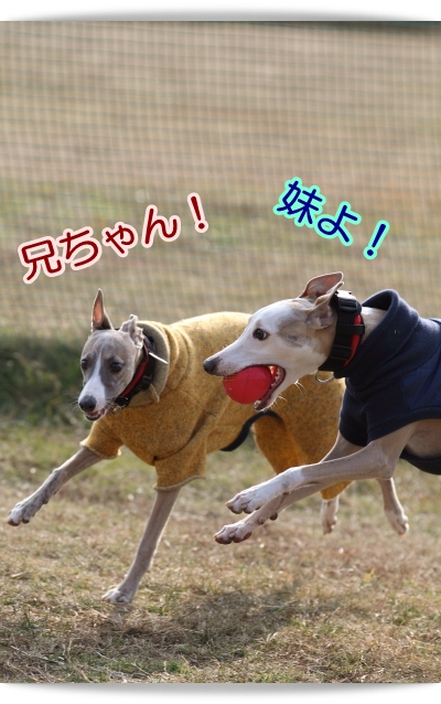 e0100007_2281251.jpg