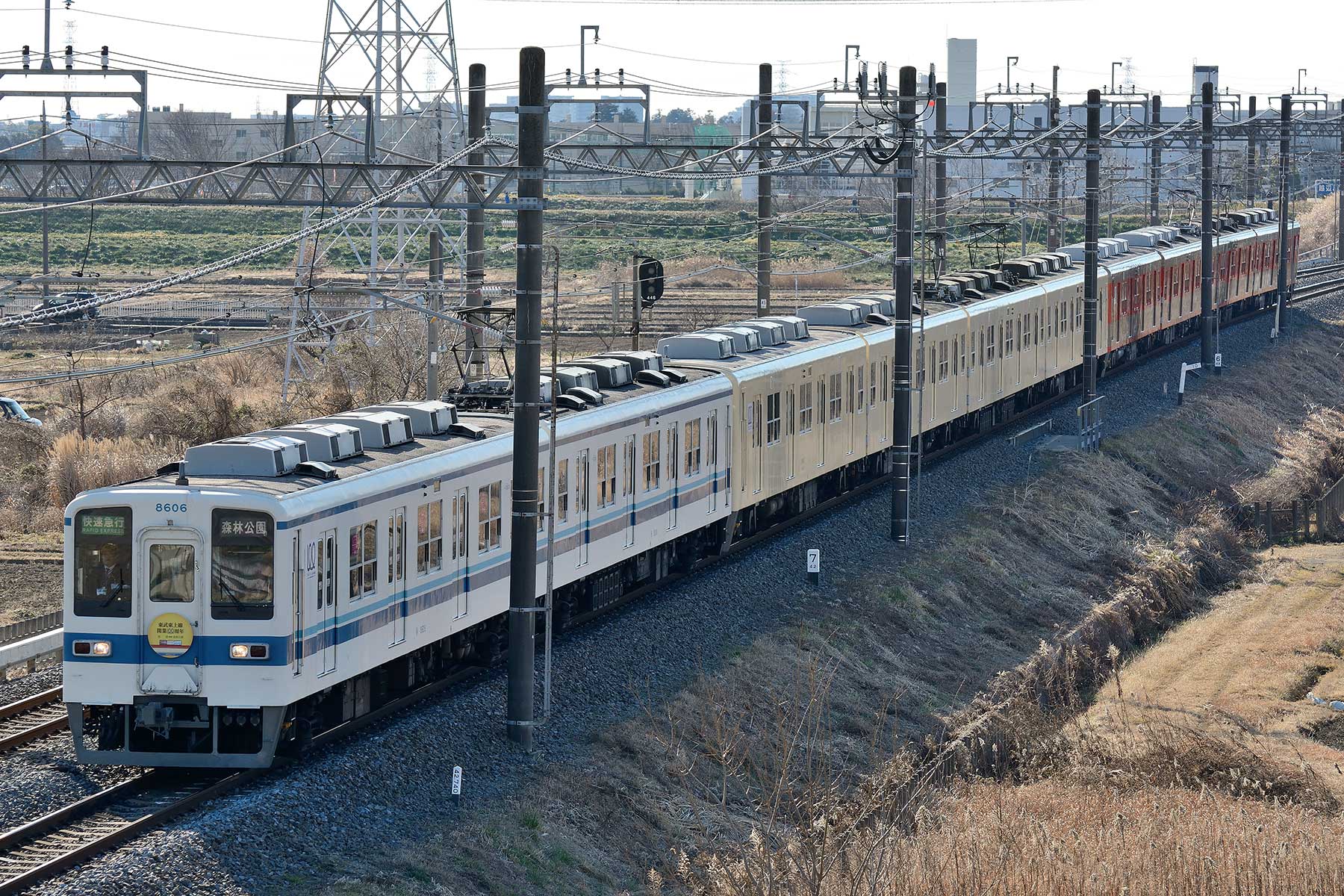 東武鉄道 8000系 / 81107F + 81111F + 8506F : SKY LOUNGE