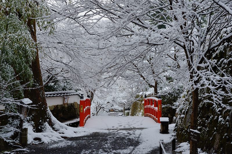 2015京の雪景色＠大原寸景・其の一_f0032011_19503351.jpg