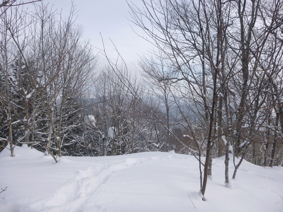 雪の漆洞山に登る　　 登頂 編_d0170615_11172296.jpg