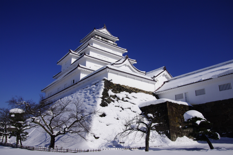 雪の鶴ヶ城_d0250028_8222869.jpg