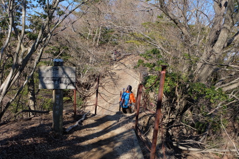 大山【諸戸尾根〜梅の木尾根】〜１月11日(日)〜　その②_b0281732_15565075.jpg