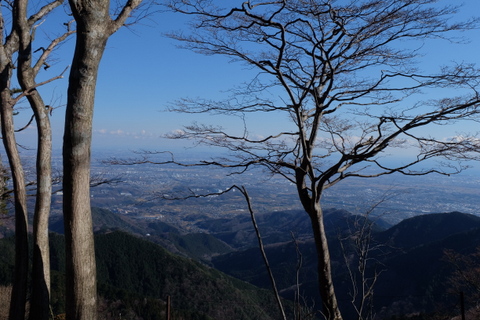 大山【諸戸尾根〜梅の木尾根】〜１月11日(日)〜　その②_b0281732_1557149.jpg