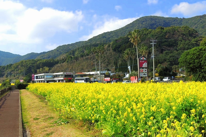 道の駅からの眺めと池田湖　指宿_b0288942_10222573.jpg