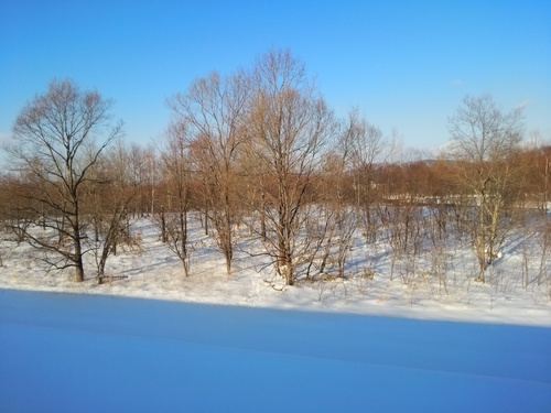 a0280243_22251569.jpg