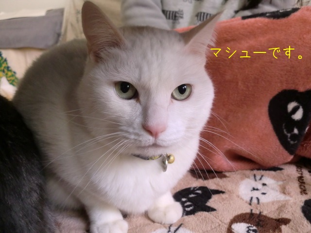 c0259945_8383015.jpg