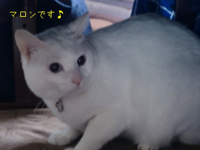 c0259945_8384928.jpg