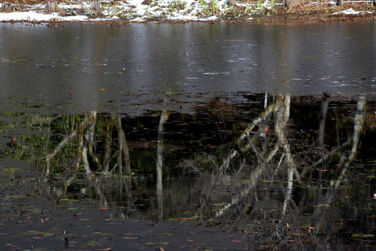 c0093046_6182180.gif