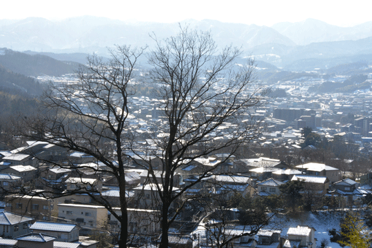 c0093046_619435.gif