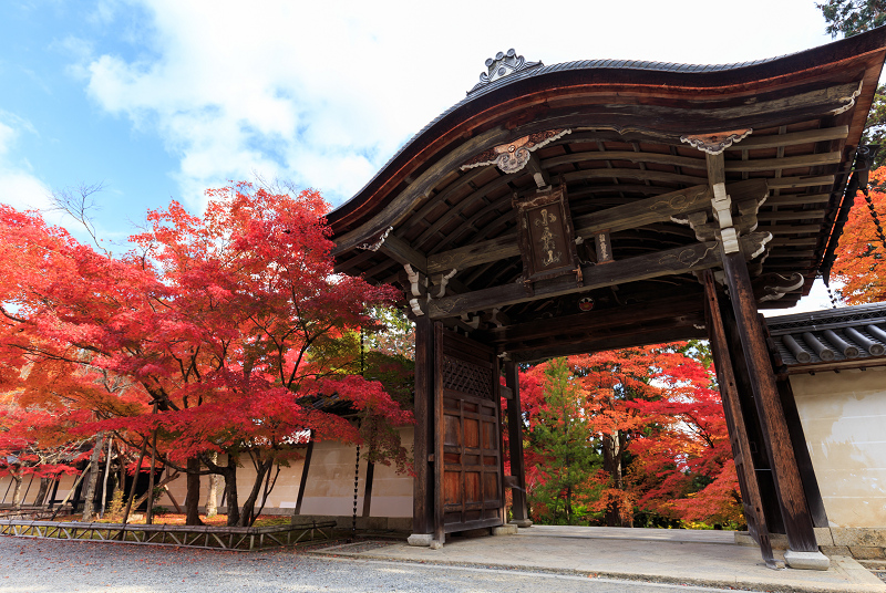 二尊院・紅葉_f0155048_23545218.jpg