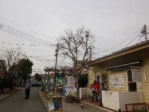 b0239151_1150049.jpg