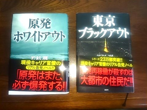 ２７１、話題の２冊を読む（２）「東京ブラックアウト」_e0323652_16124966.jpg