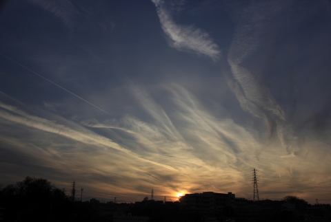 a0248459_19295022.jpg