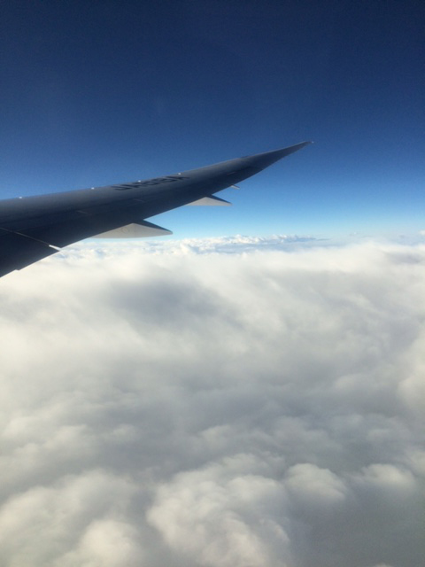 a0292659_14435314.jpg