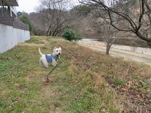 本日は「Bコース」_c0260460_12451593.jpg