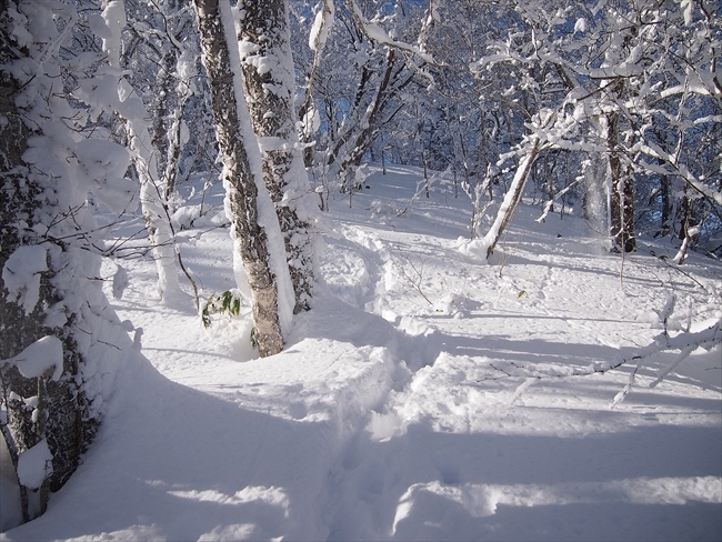 まったり登山♪風不死岳　～北尾根ルート～_b0281366_15064443.jpg