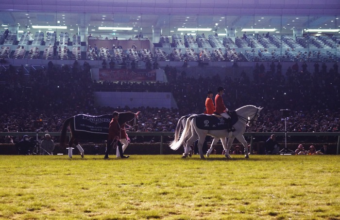 ジェンティルドンナ (Gentildonna)の競走成績 | 競走馬データ