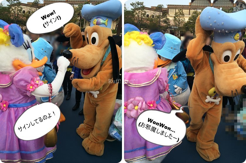 プラザにて ドナルドとデイジーが気になるプルート ｒｕｆｆ ｒｕｆｆ Pluto Love