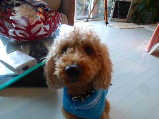 2015年1月26日 ○○は、黒で。。。_b0098584_18433673.jpg