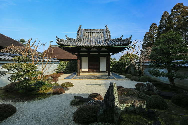 一休寺（酬恩庵）_e0051888_10572995.jpg