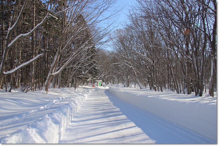 野幌瑞穂線（１・２４）_f0146493_1311192.jpg