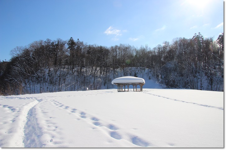 野幌瑞穂線（１・２４）_f0146493_13141053.jpg