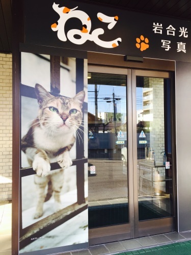 岩合光昭さんのねこ展_a0134394_06393279.jpg