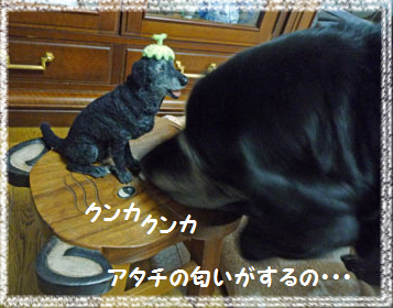 d0282395_2129034.png