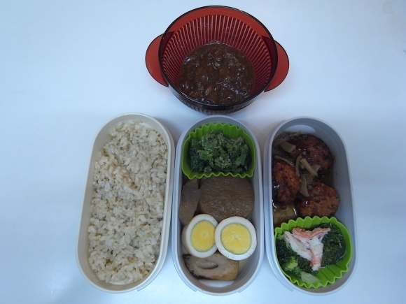 夕食用お弁当  牛肉のワイン煮_f0314196_11592665.jpg