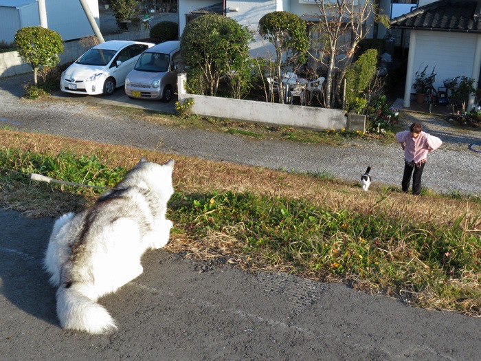 おいらは~天下の~嫌われ者♪ (^_^;)_c0049299_208222.jpg