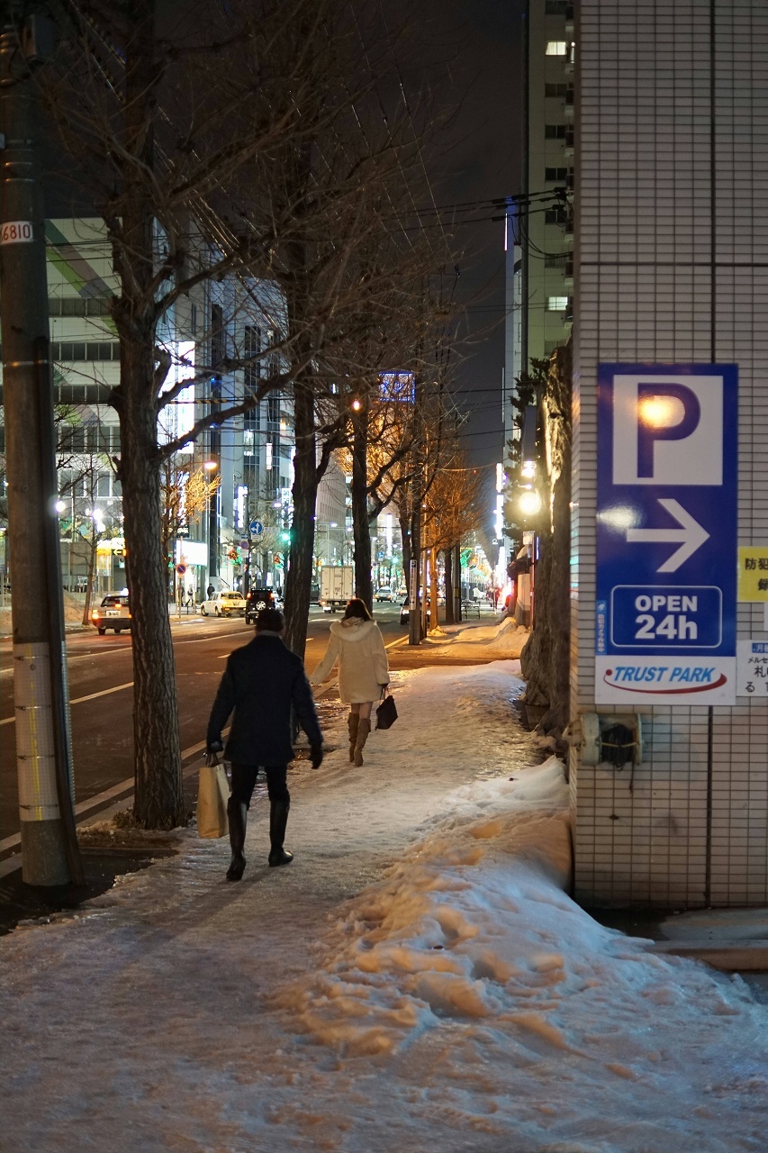 雨が降って、凍って、また雪になって・・・_b0225108_21342716.jpg