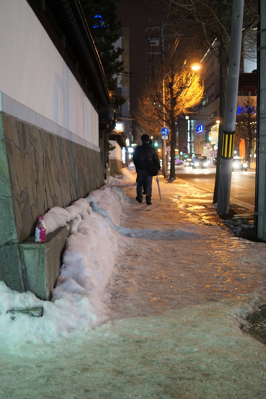 雨が降って、凍って、また雪になって・・・_b0225108_21342848.jpg