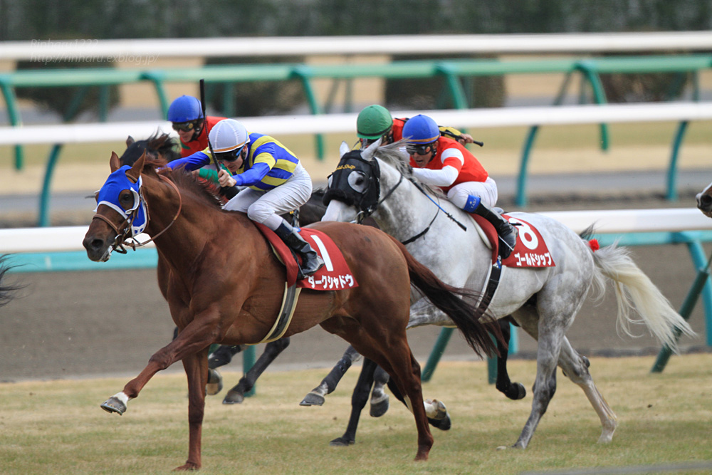 2015.1.25 中山競馬場☆ゴールドシップ【Thoroughbred】_f0250322_21451491.jpg