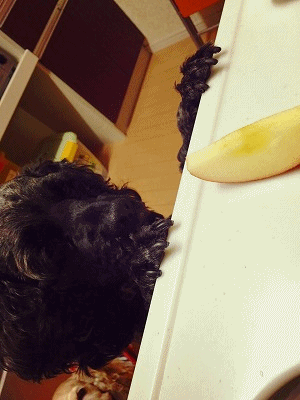 f0326925_23120392.gif