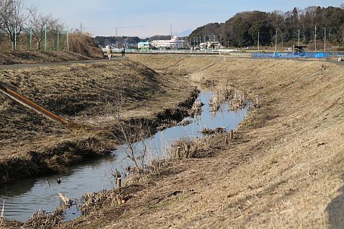 畑みちの鳥たちに会いに行った。_e0108126_16562826.jpg