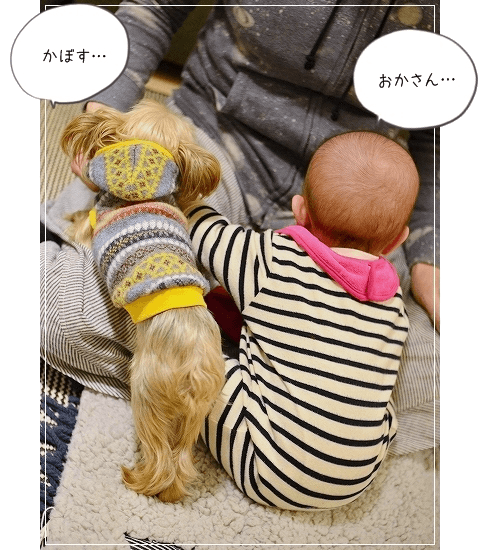 d0179828_13220035.png