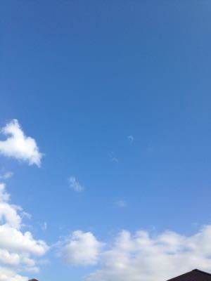 小春日和なにゃんこの日_d0088735_23384015.jpg