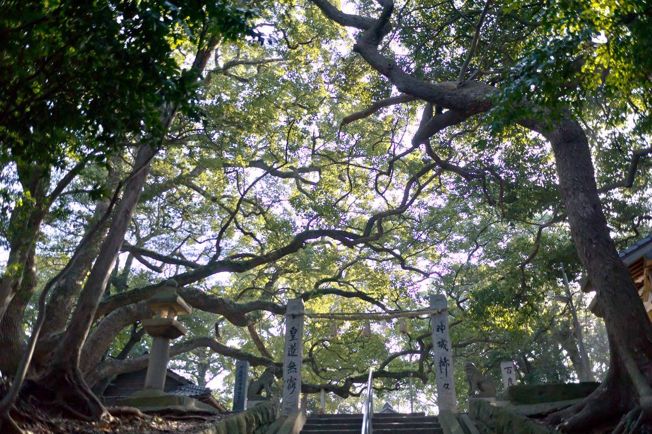 志賀神社　福岡県糟屋郡粕屋町仲原_b0023047_02520426.jpg