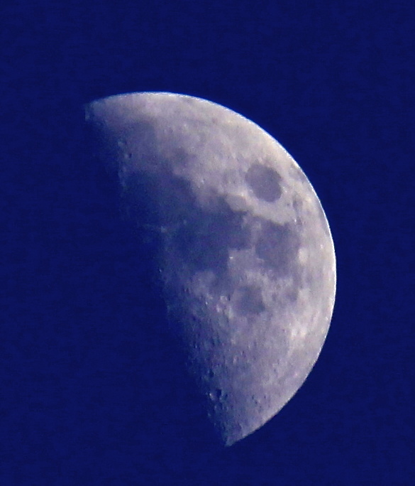 a0248459_18580000.jpg
