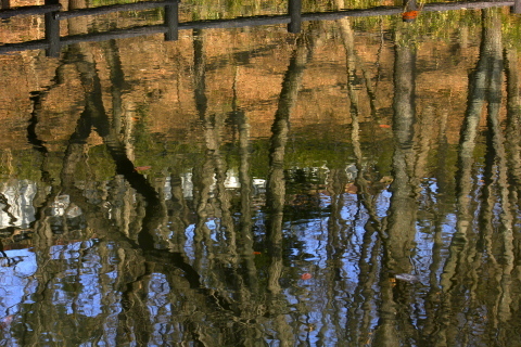 a0248459_18585821.jpg