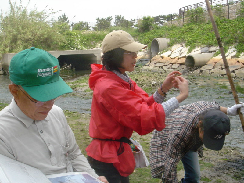 箱作小学校５年学習サポート「田山川の水生生物観察」・・・うみべの森を育てる会サポート_c0108460_22570633.jpg