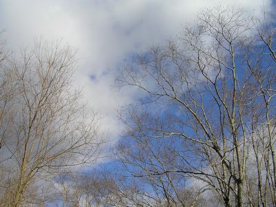 a0020763_133515.jpg
