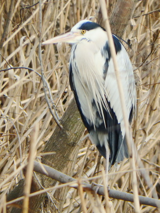 ポカポカ陽気_a0073065_12502971.jpg