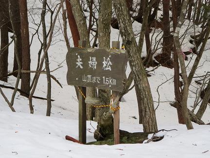 三十三間山　　県境は気持ち良い雪原尾根_f0302771_16134086.jpg