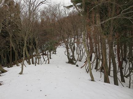 三十三間山　　県境は気持ち良い雪原尾根_f0302771_1614233.jpg